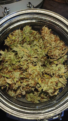 Growreport Bild 2