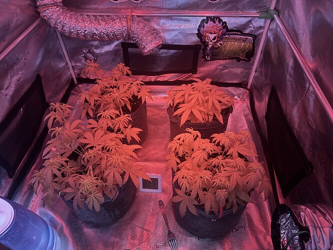 Growreport Bild 19