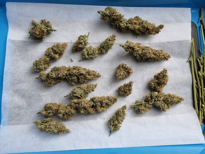 Growreport Bild 9