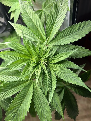 Growreport Bild 10