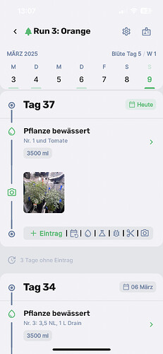 Growreport Bild 1