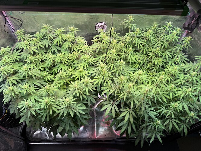 Growreport Bild 19