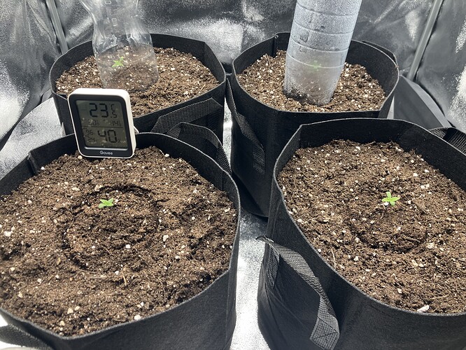 Growreport Bild 14
