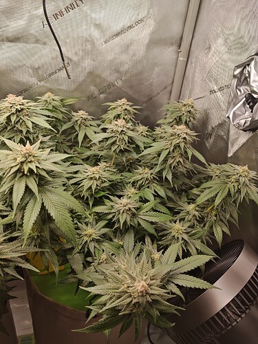 Growreport Bild 8