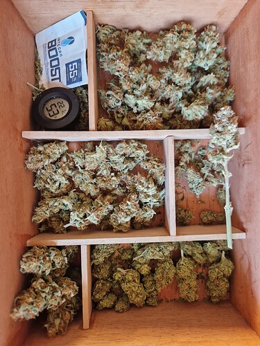 Growreport Bild 17