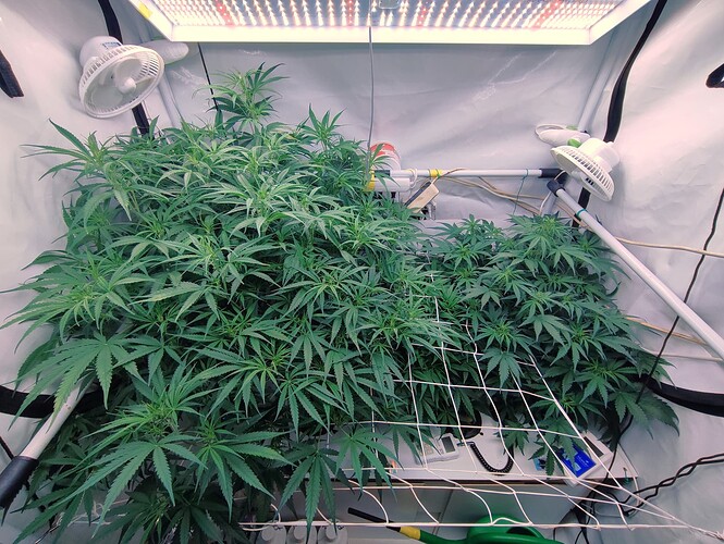Growreport Bild 15