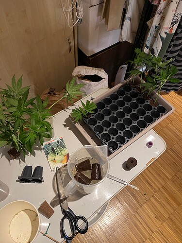 Growreport Bild 5