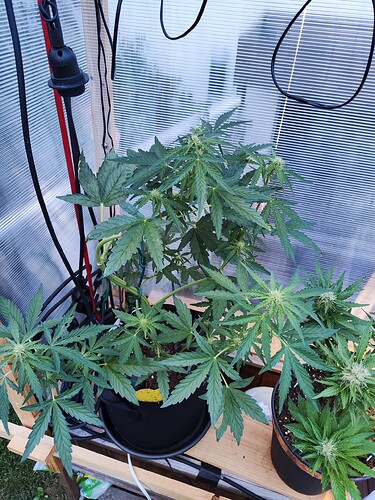Growreport Bild 14