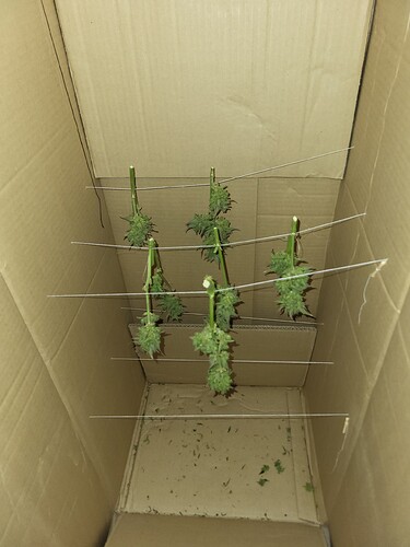 Growreport Bild 1
