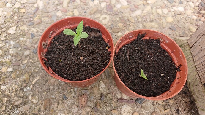 Growreport Bild 7