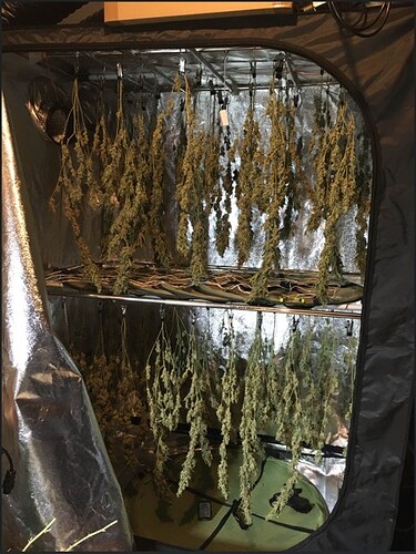 Screenshot 2024-10-11 184801