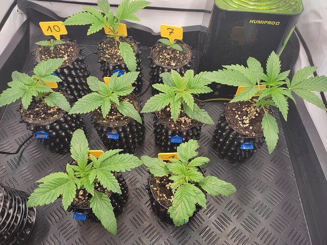 Growreport Bild 12