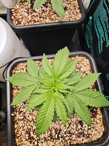 Growreport Bild 26