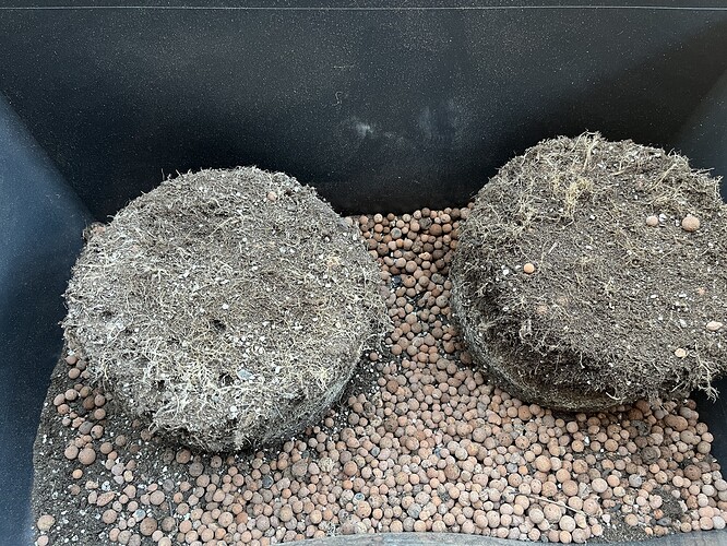 Growreport Bild 3