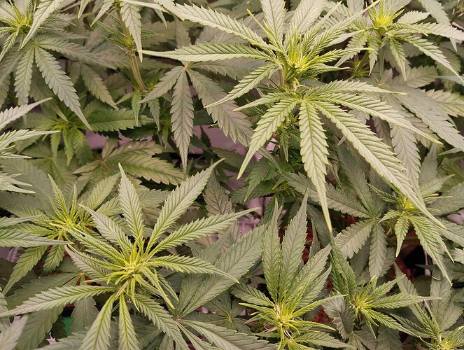 Growreport Bild 11