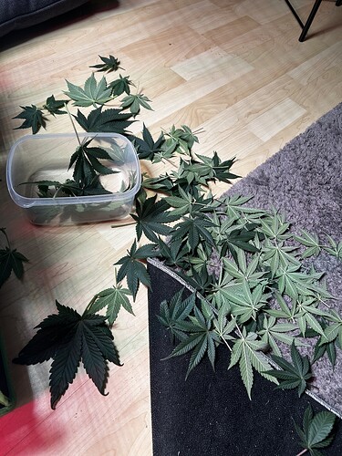Growreport Bild 17