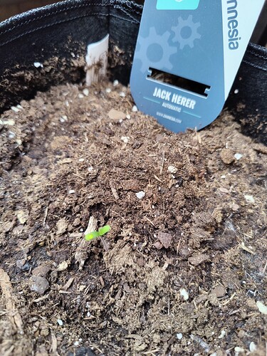 Growreport Bild 4