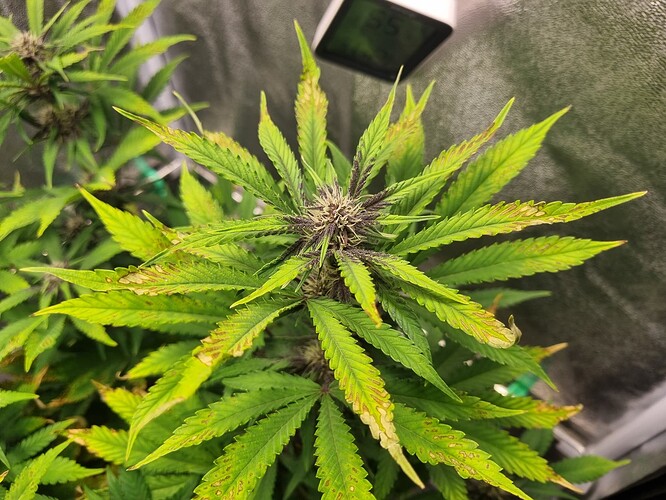 Growreport Bild 8