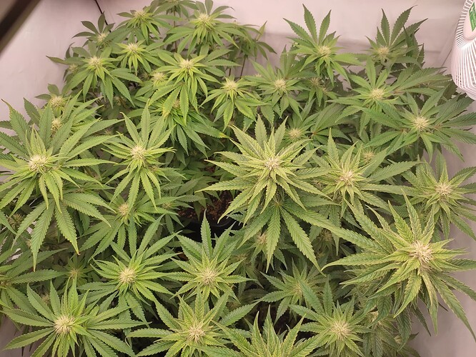 Growreport Bild 14