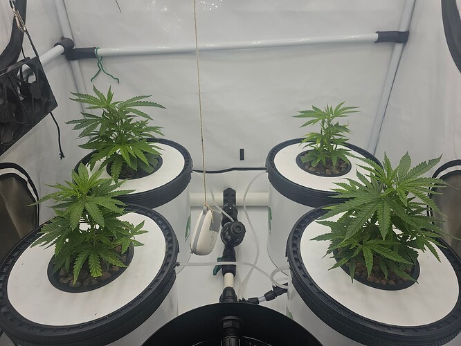 Growreport Bild 11