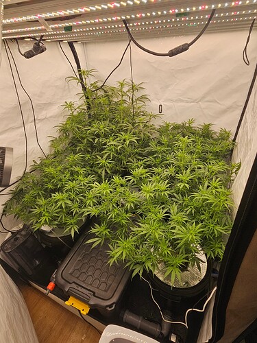 Growreport Bild 2