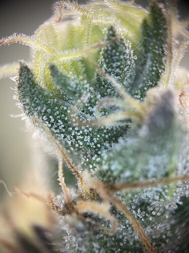 Growreport Bild 17