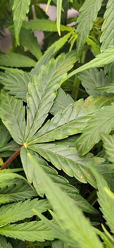 Growreport Bild 8