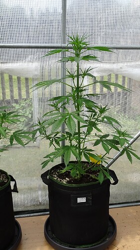 Growreport Bild 9