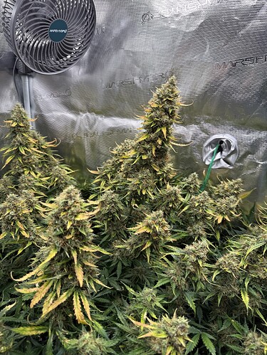Growreport Bild 11