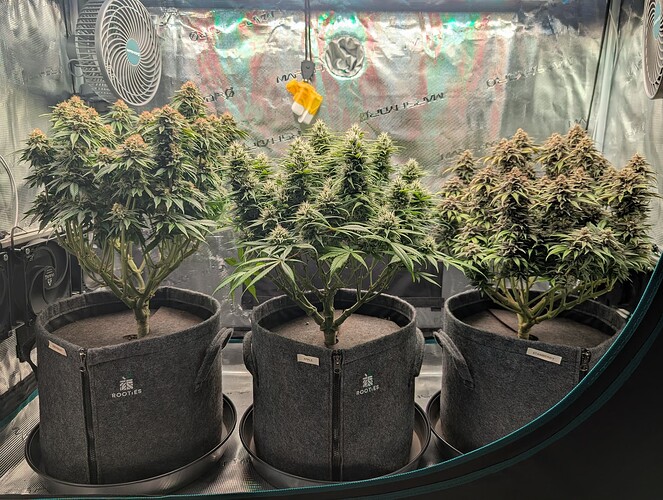 Growreport Bild 2