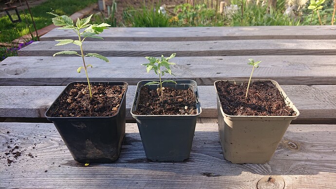 Growreport Bild 12