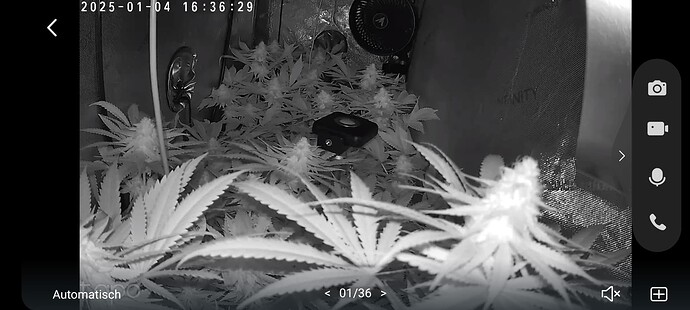 Growreport Bild 8