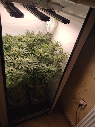 Growreport Bild 4