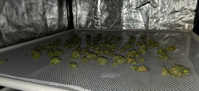 Growreport Bild 6