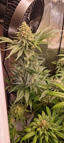 Growreport Bild 15