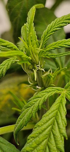 Growreport Bild 8