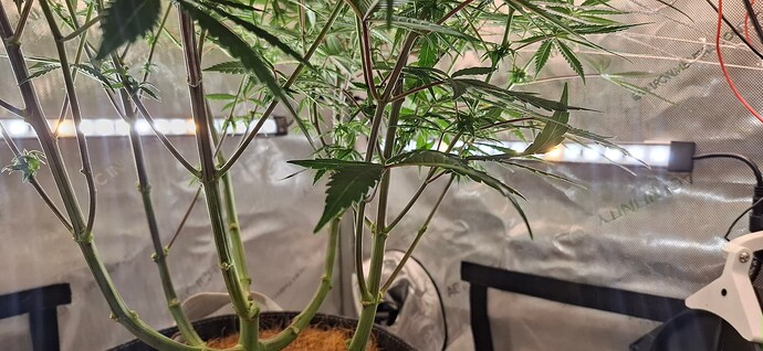 Growreport Bild 4