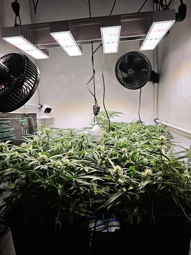 MVIMG_20251026_194025