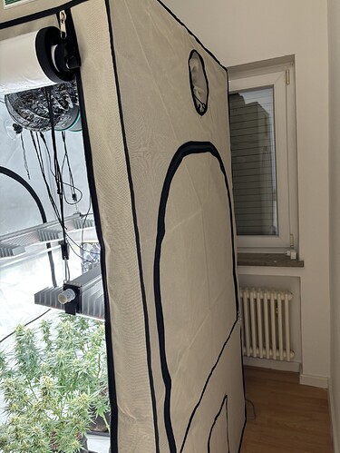 Growreport Bild 5