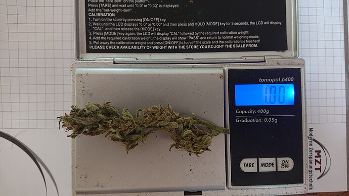 Growreport Bild 86