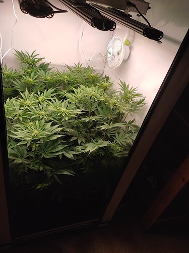 Growreport Bild 24