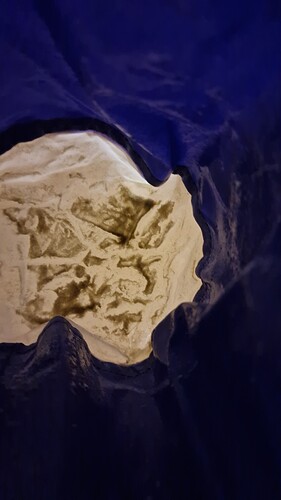 IMG-20240805-WA0070