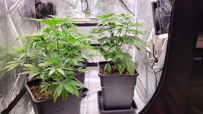 Growreport Bild 18