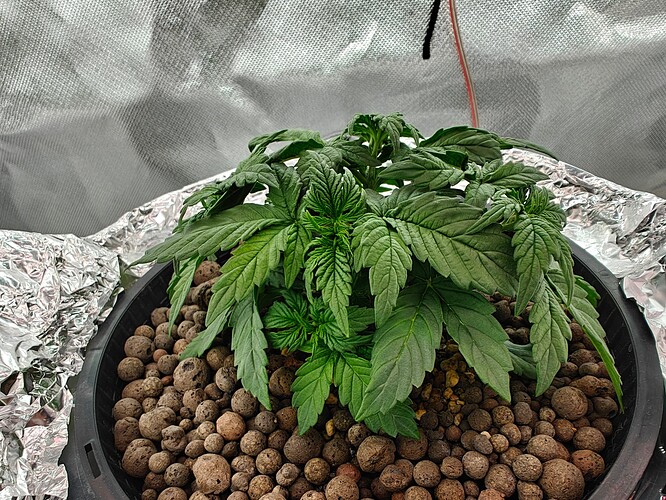 Growreport Bild 18