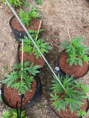 WhatsApp Image 2024-05-14 at 13.57.30