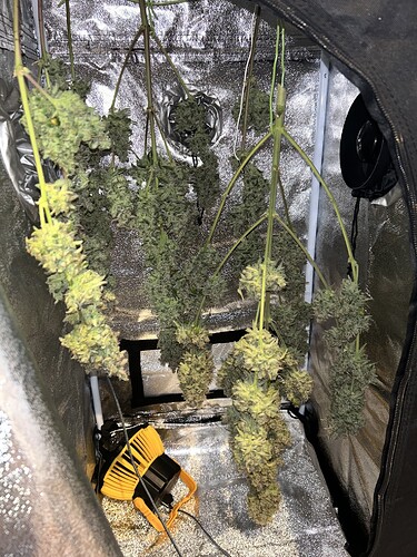 Growreport Bild 6