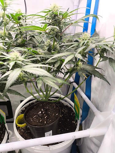 Growreport Bild 9