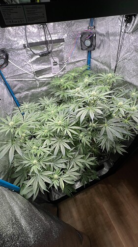Growreport Bild 4