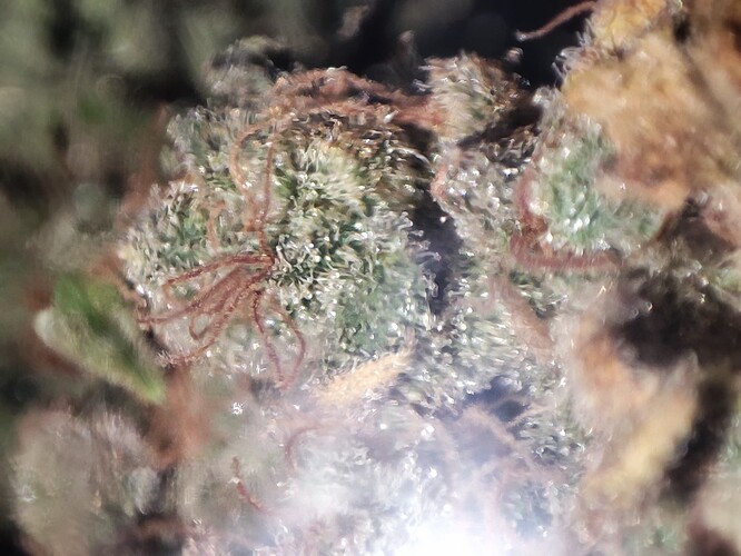 Growreport Bild 16