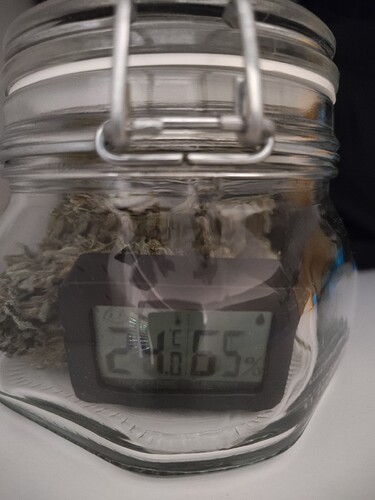 Growreport Bild 6